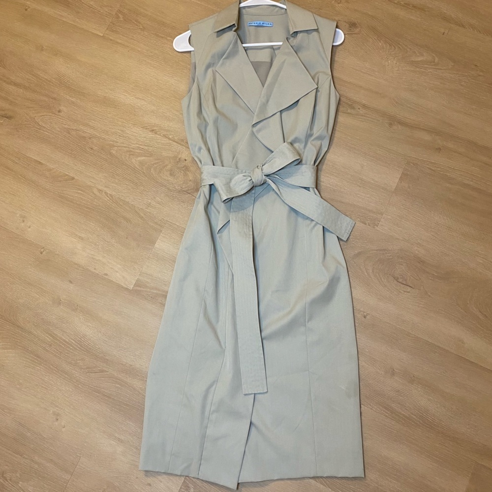 Antonio Melani Dress With removable belt